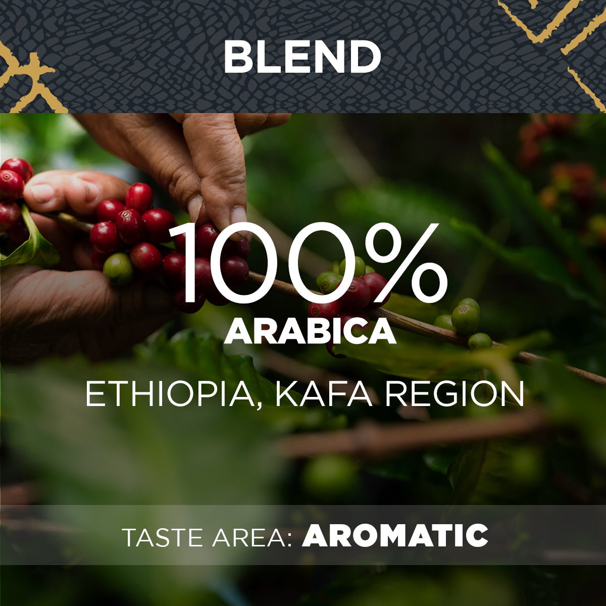 Kafa Forest Coffee Capsules - EuroCoffee