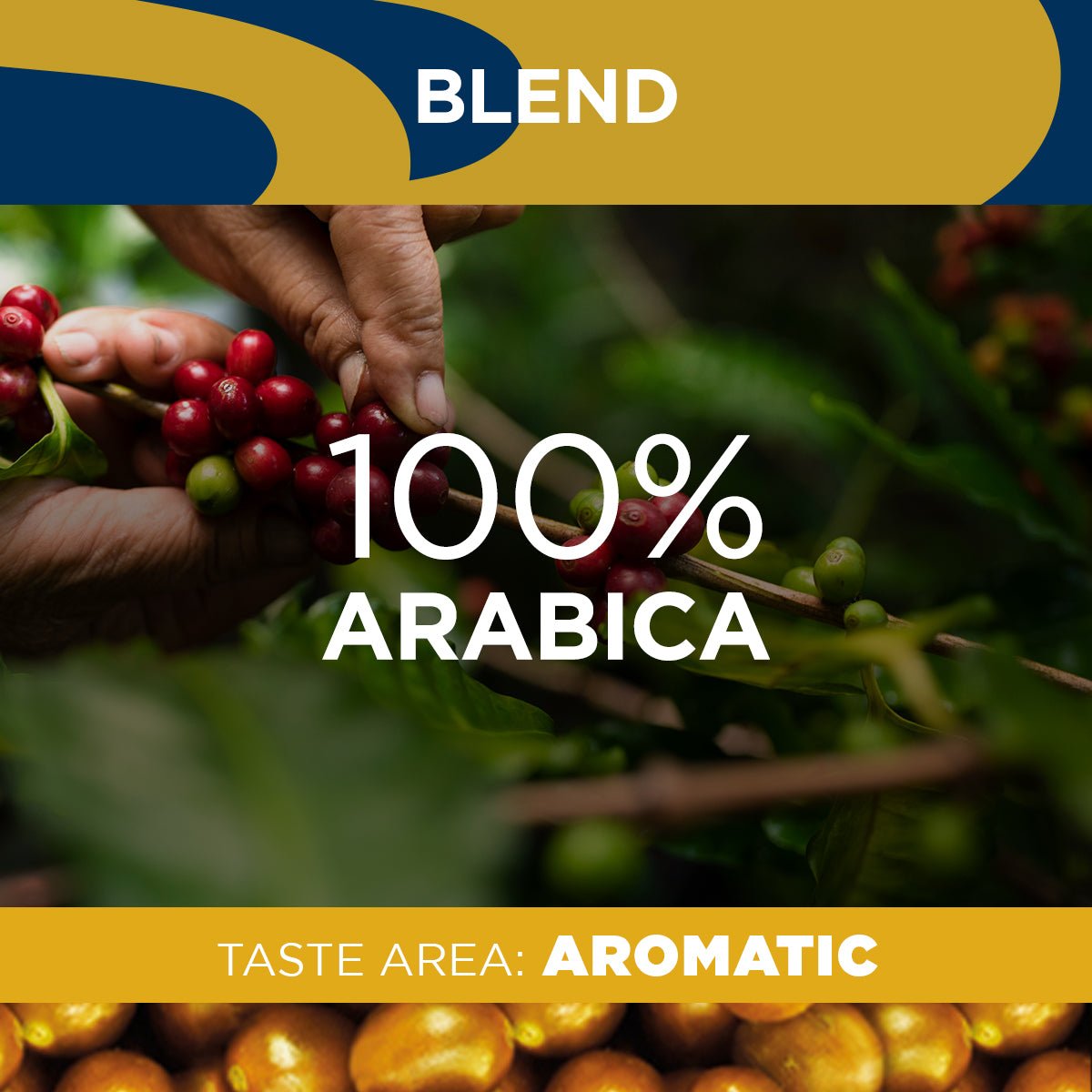 Caffe Crema Capsules - EuroCoffee