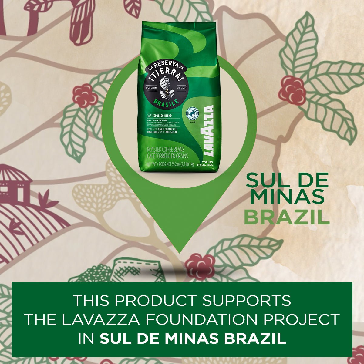 La Reserva de ¡Tierra! Brasile Beans - EuroCoffee