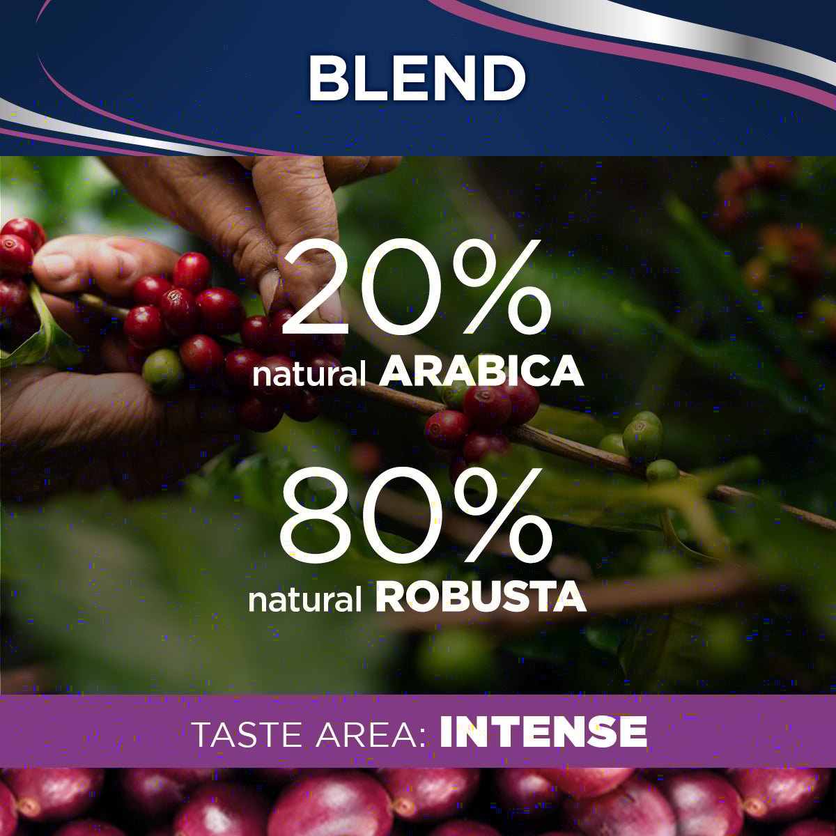 Il Filtro Classico Intenso Ground Coffee - EuroCoffee