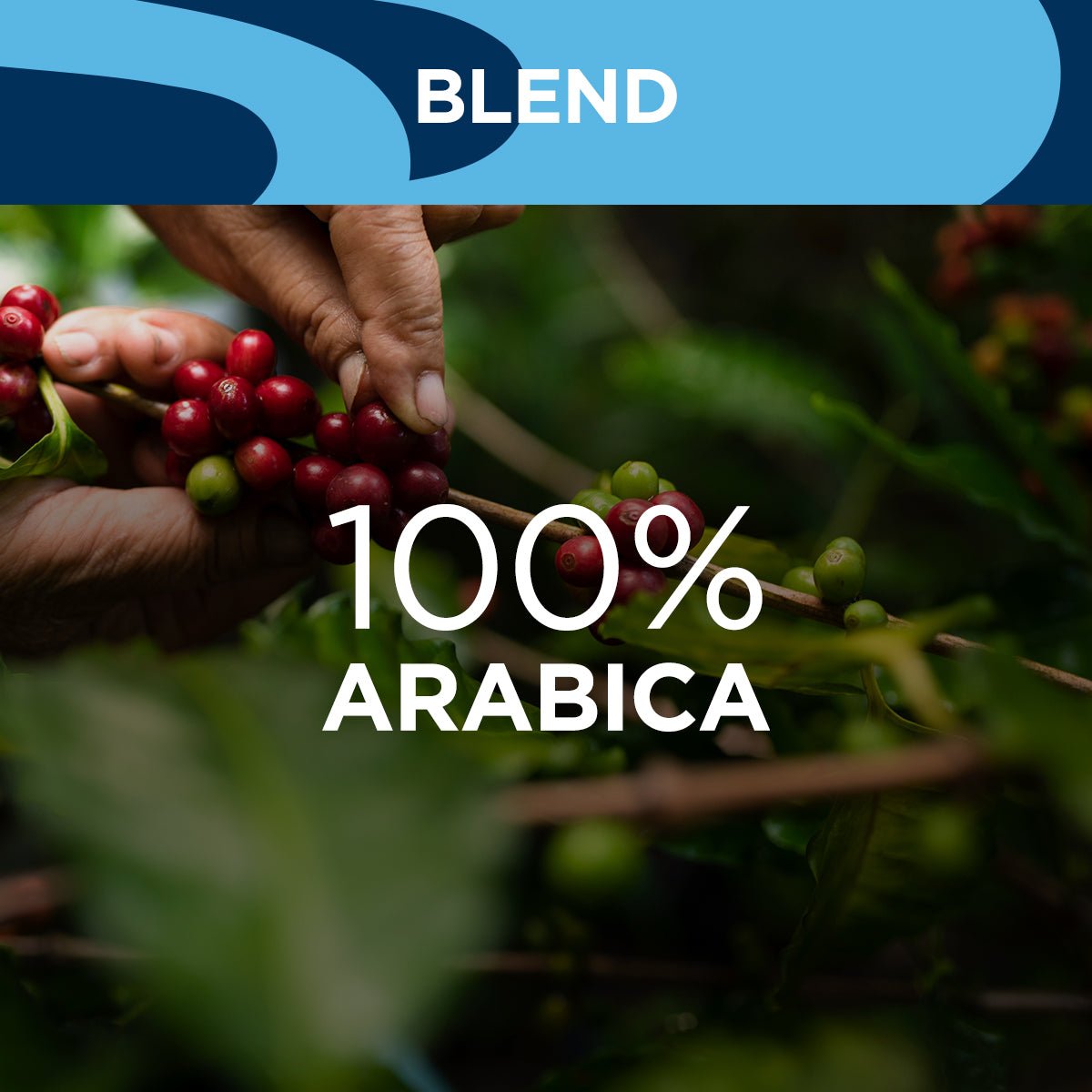 Espresso Decaffeinated Capsules - EuroCoffee