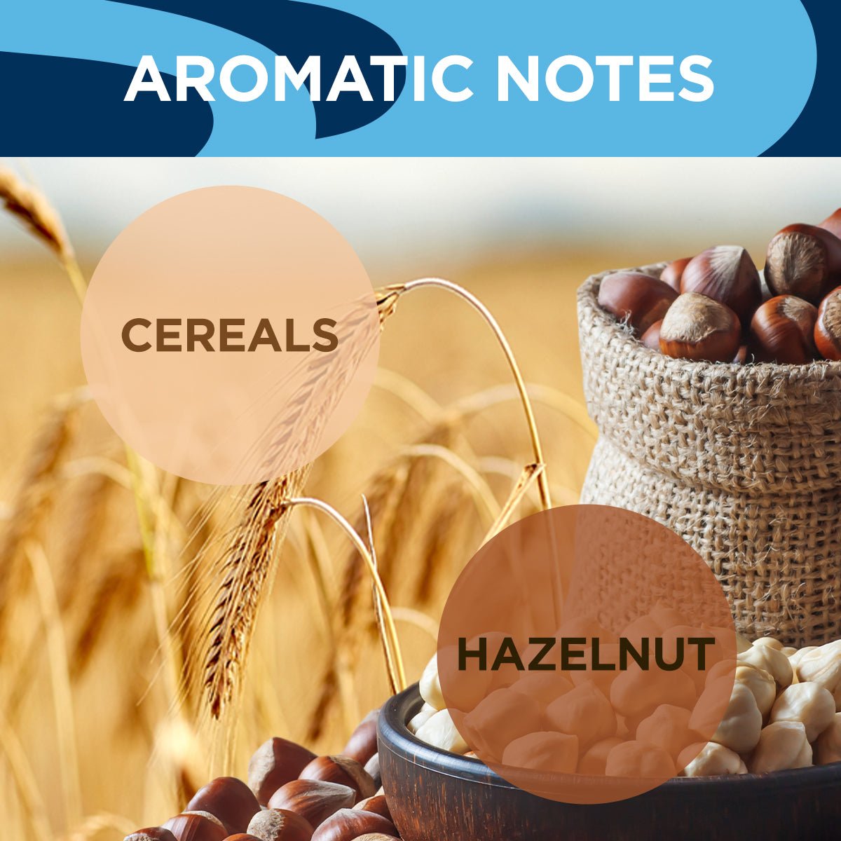 Espresso Decaffeinated Capsules - EuroCoffee