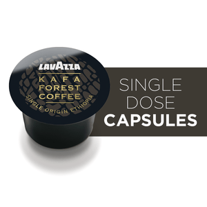 Kafa Forest Coffee Capsules - EuroCoffee