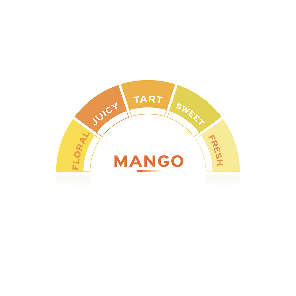 Mango Syrup - EuroCoffee