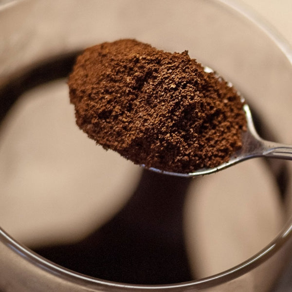 LAVAZZA Bodum French Press EuroCoffee