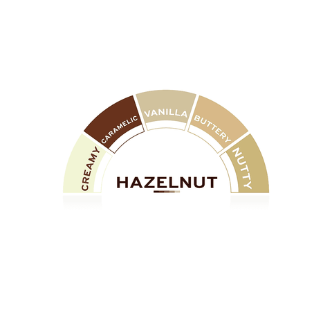 TOSCHI Hazelnut Syrup