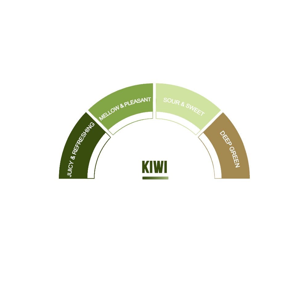 Kiwi Syrup - EuroCoffee