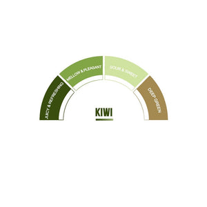 Kiwi Syrup - EuroCoffee