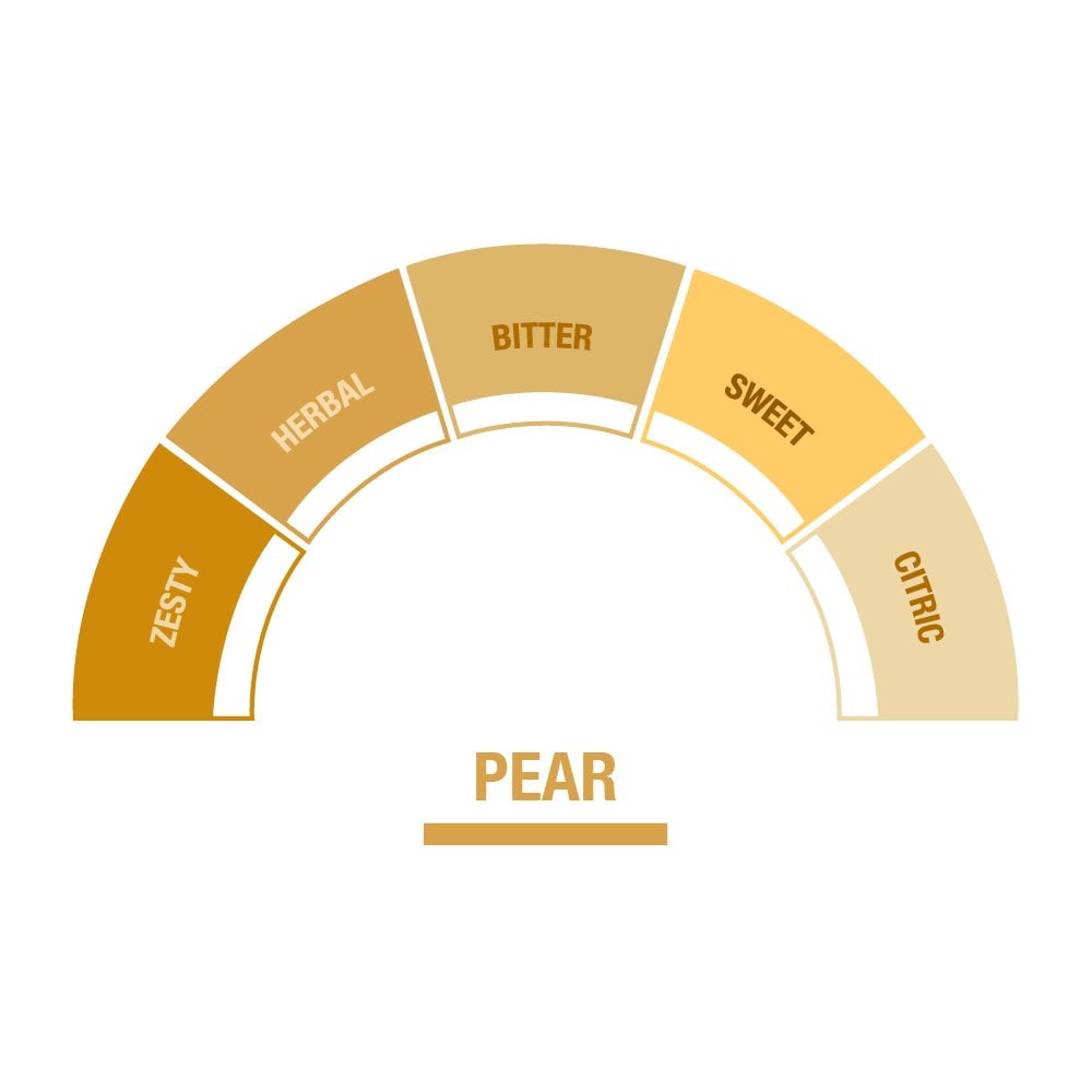 Pear Syrup - EuroCoffee
