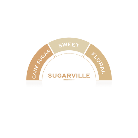 TOSCHI Sugarville, Brown Cane Sugar Syrup