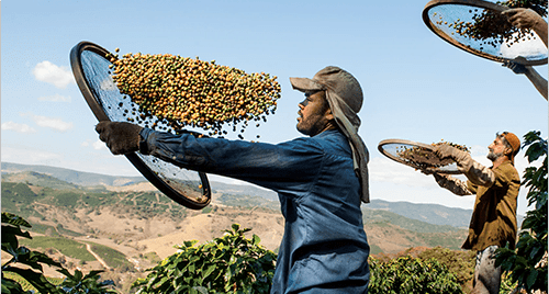 Sustainability: Brewing Better - EuroCoffee