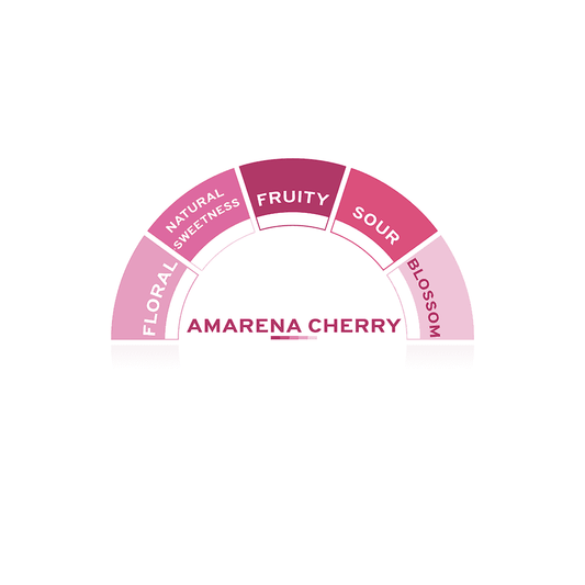 Amarena Syrup - EuroCoffee