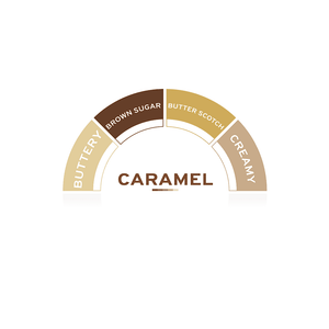 Caramel Sauce Bundle - Box of 4 X 2.5 Kg Bottles - EuroCoffee