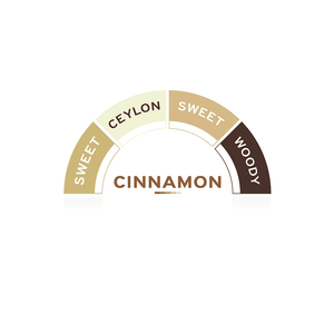 Cinnamon Syrup - EuroCoffee