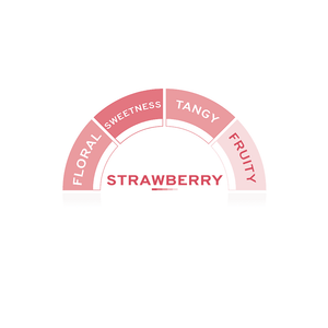 Strawberry Syrup - EuroCoffee