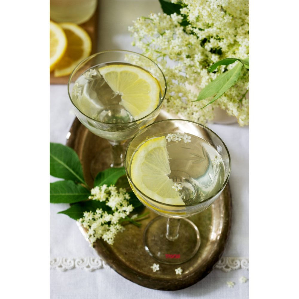 Elderflower Syrup - EuroCoffee