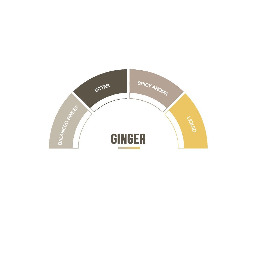 Ginger Syrup - EuroCoffee