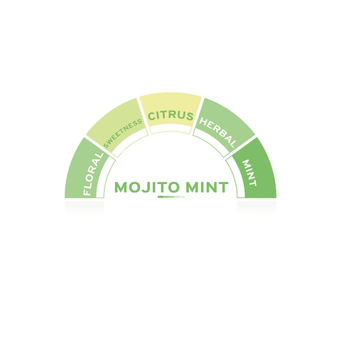 TOSCHI Mojito Mint Syrup
