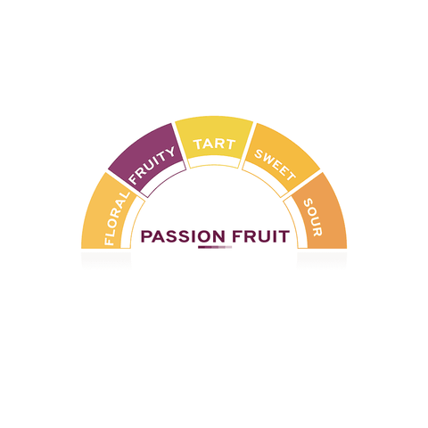 TOSCHI Passion Fruit, Acrobatic Fruit Syrup