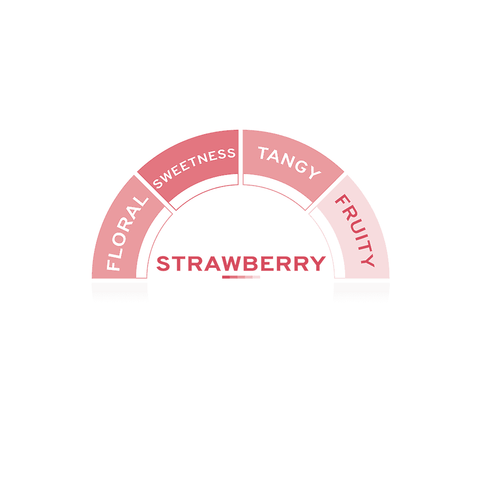 TOSCHI Strawberry Syrup